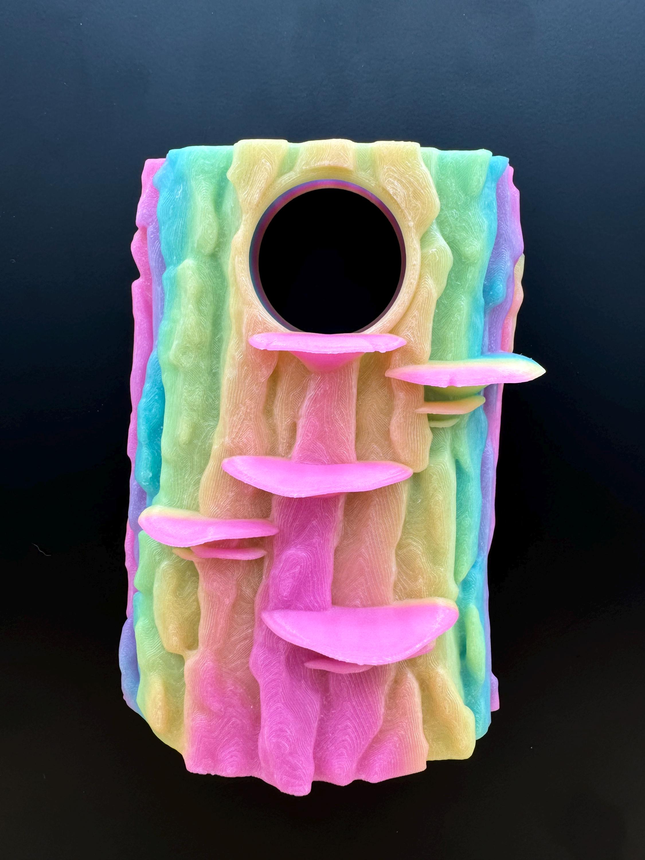 3D Universal Treehouse Insert for Jumping Spiders and Invertebrate ...