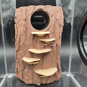 May include: A brown, tree-shaped ceramic planter with a round hole in the front and five beige ceramic mushrooms attached to the front.