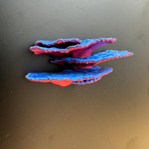 Magnetic coral ledge *Built In Magnet*