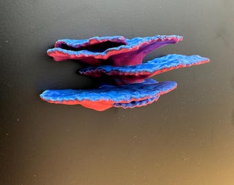 Magnetic coral ledge *Built In Magnet*
