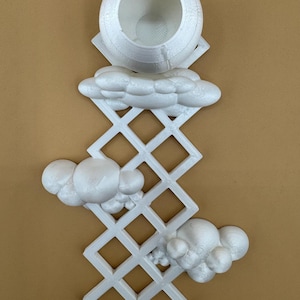 Cloud lattice hide/ ledge for jumping spiders *Built In Magnet*