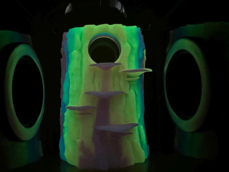 3D Universal Treehouse Insert for Jumping Spiders and Invertebrate ...
