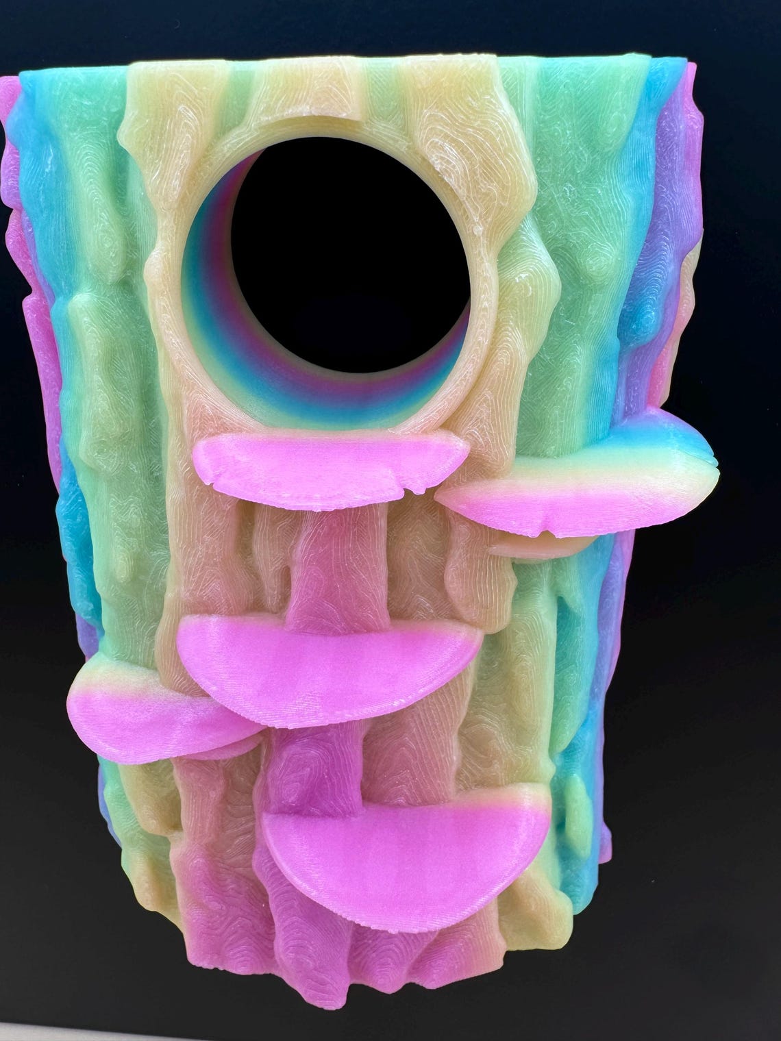 3D Universal Treehouse Insert for Jumping Spiders and Invertebrate ...