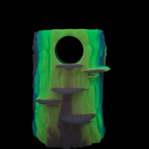 3D Universal Treehouse Insert for Jumping Spiders and Invertebrate ...