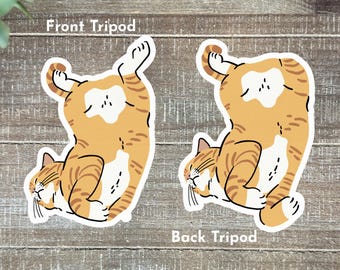 Tripod Cat Sticker | 2”-6” Orange Tabby Cat Stickers | Front & Back Tripod Cats