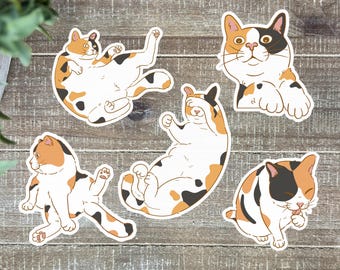 Funny Calico Cat Stickers | 5 Chaotic Poses ~ Cute Cat Sticker Pack