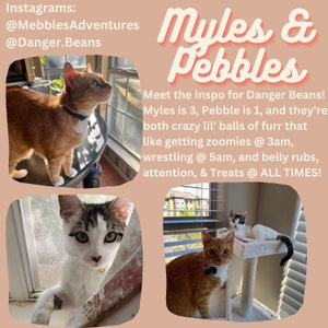 May include: Two orange tabby cats, one with white markings, are pictured in a collage. The larger cat is standing on a table near a window. The smaller cat is sitting on a cat tree with a white cat in the background. The text "Myles & Pebbles" is in large, colourful letters at the top of the image. The text below reads "Meet the Inspo for Danger Beans! Myles is 3, Pebble is 1, and they're both crazy lil' balls of furr that like getting zoomies @ 3am, wrestling @ 5am, and belly rubs, attention, & Treats @ ALL TIMES!"