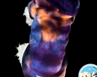 Hand-Dyed Harvest Moon Dog Hoodie: Soft Cotton-Blend Fall Pet Sweatshirt