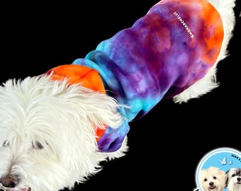 Hand-Dyed Starlit Harvest Dog Hoodie - Fall Pet Apparel