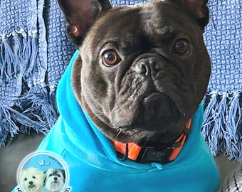 Tie Dye Dog Hoodie: Leash Slot, Warm Pet Sweatshirt