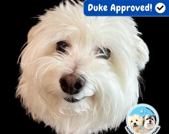 Tie Dye Christmas Lights Dog Hoodie: Holiday Pet Gift