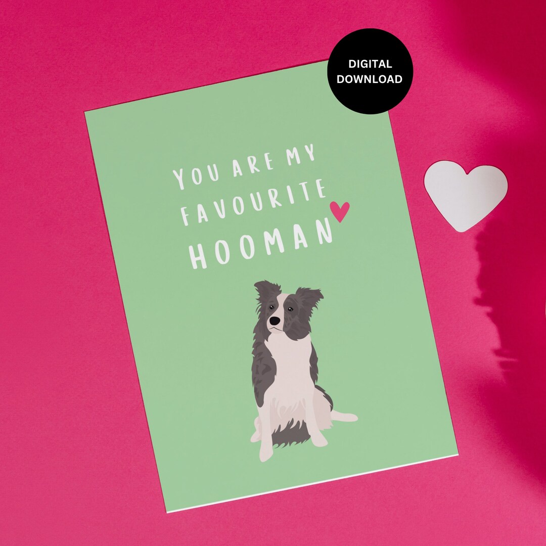 Funny Dog Card Dog Birthday Card Border Collie Card Favourite Hooman