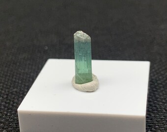 NR196 Tourmaline bleue verte 13,5x4,2 cristal de pierre brute Afghanistan Tourmaline bleue brute à facettes cristal minéral brut Collection de pierres de guérison