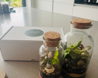 22 cm DIY Enclosed Terrarium Kit | Includes Everything You Need | Great Gift for All Occasions | Mini Ecosystem