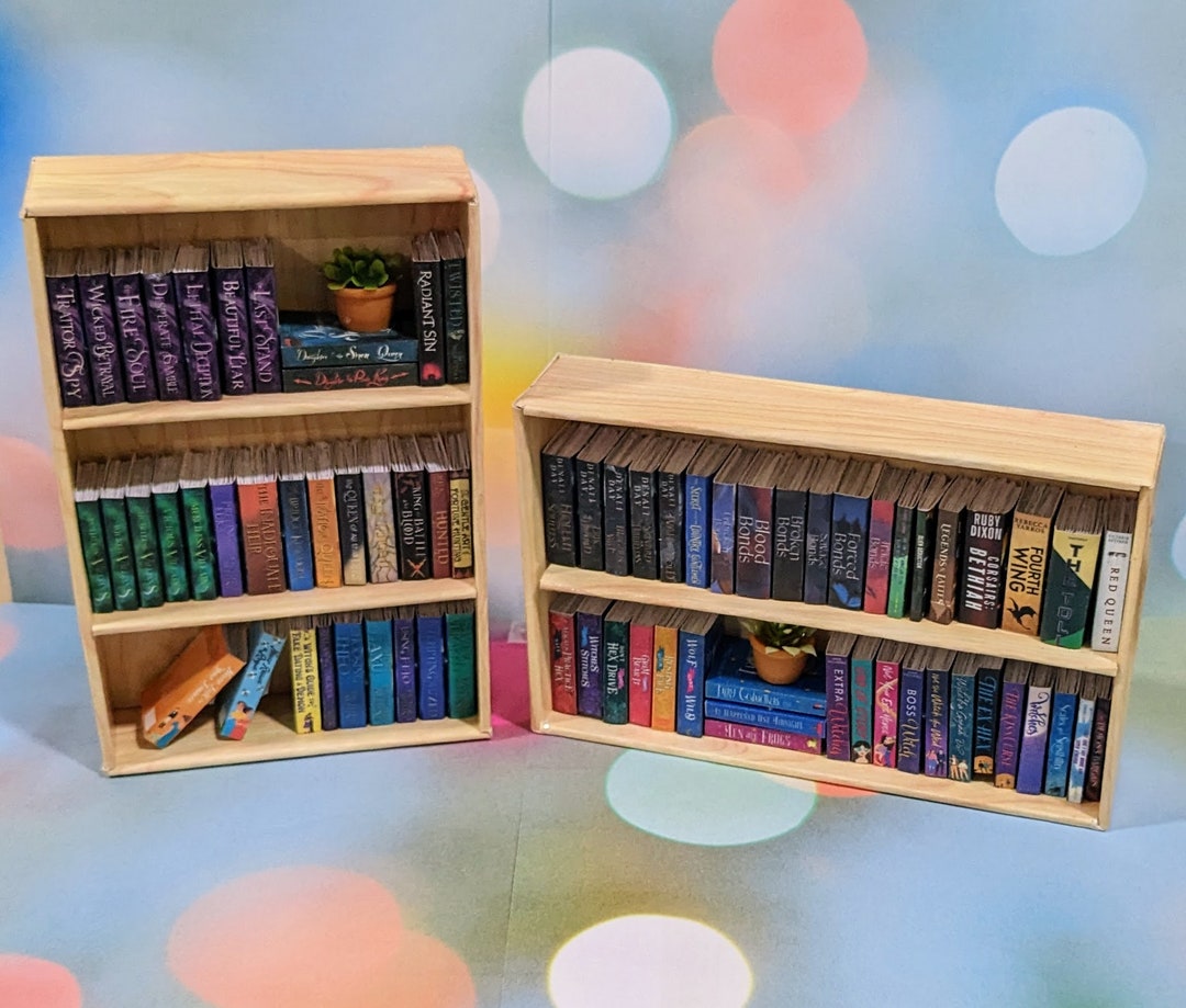 Mini Bookshelf Etsy