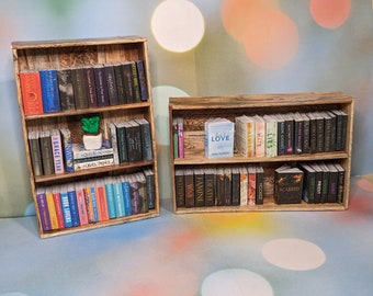 Puede incluir: Dos estanterías de madera con varias filas de libros. La estantería superior de la estantería de la izquierda tiene una pequeña planta en maceta. Los libros en las estanterías tienen títulos como "Grace Year", "Cruel Prince", "Love", "Hate", "Lies", "Famine", "War" y "Death".