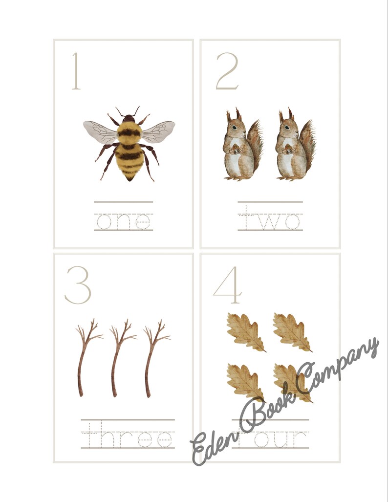 Nature Number Flashcards Preschool Printable image 2