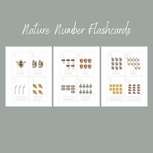 Nature Number Flashcards Preschool Printable image 1