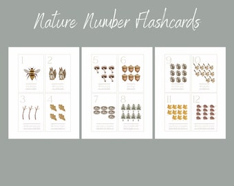 Nature Number Flashcards | Preschool Printable