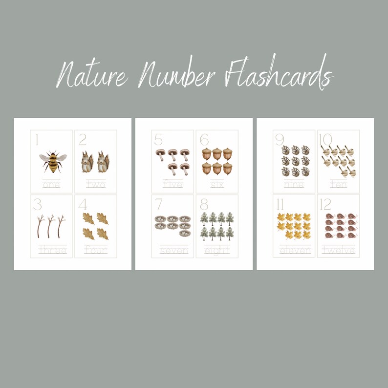 Nature Number Flashcards Preschool Printable image 1