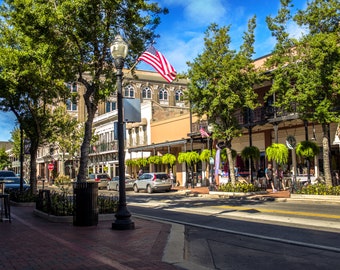 Pensacola Palafox Street Print: Downtown Florida Canvas or Metal