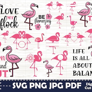 Flamingo SVG Bundle: Bird Cut Files for Cricut, Silhouette (Digital Download)