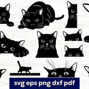 Chat SVG, svg de chat noir, chat Bundle svg, svg chat furtif, Halloween svg, sticker chat, Silhouette Cricut, fichiers de coupe, tête de chat svg