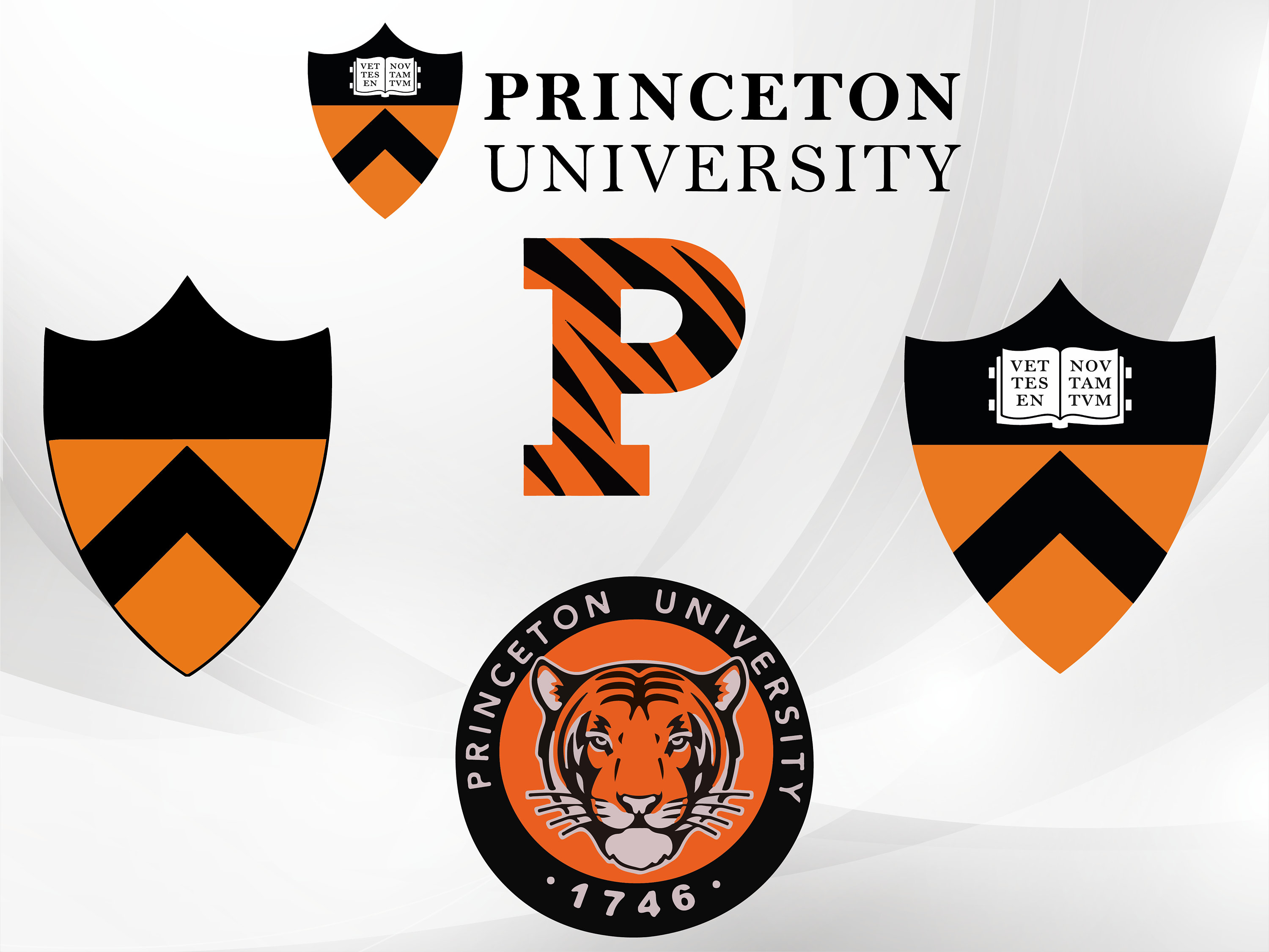 Princeton University Embroidery Design - Etsy