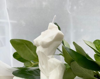 Handmade Torso- The Diamond Lady