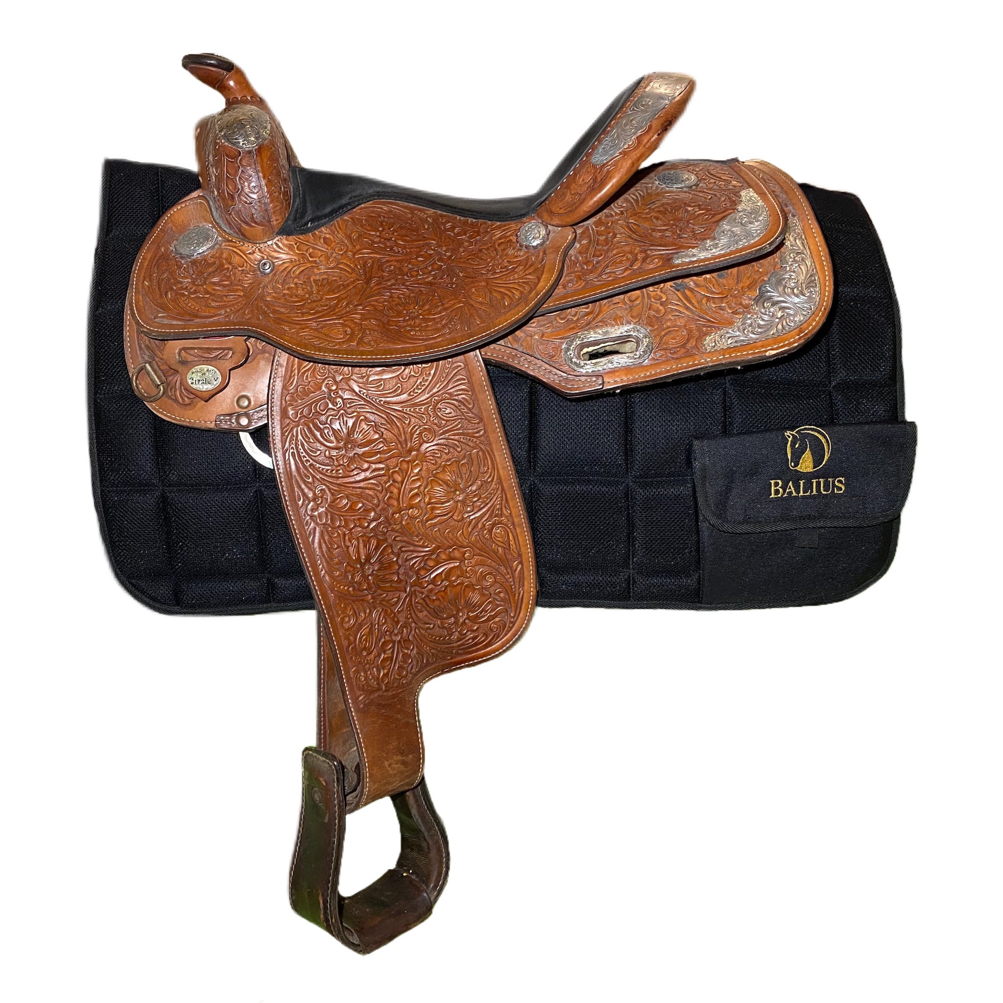 Saddle Fitting High Withered Horses What's The Best Saddle? atelier