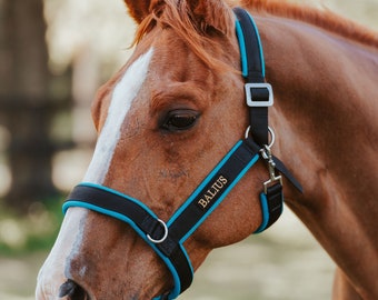 Turquoise Halter Padded Adjustable Super Soft Washable Durable Lightweight Horse Draft Donkey Foal Weanling Cob