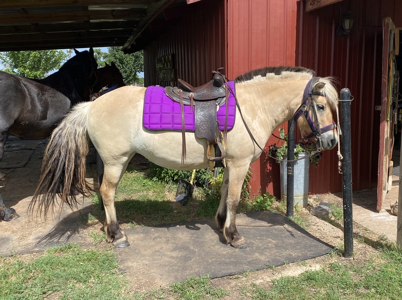 Purple Western Saddle Pad Horse Tack Western Pleasure Rodeo Etsy