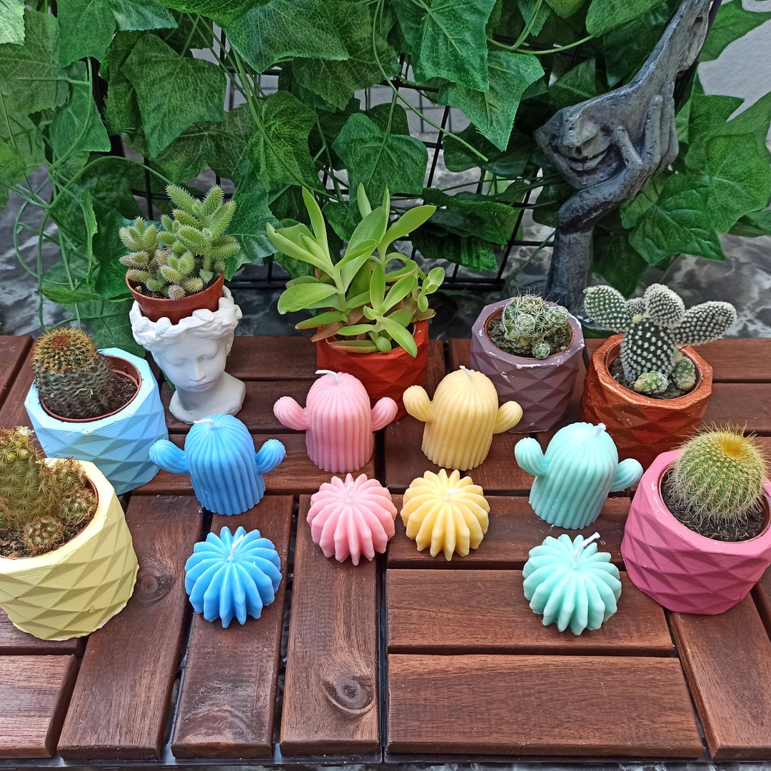 Cactus Soy Candle, 8 Pieces, Handmade Soy Wax, Succulent Cacti Candle, Succulent Candle Set