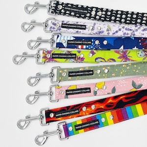 Passende Hundeleine für Paper Chasing Halsbänder