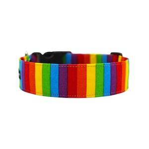 Op de afbeelding: Een regenboogkleurig hondenhalsband met een zwarte gesp.