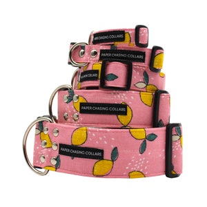 Pink lemonade dog collar - cute pink country lemon dog collar available 15 different sizes XS - XL