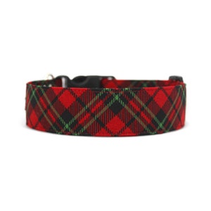 May include: Red, green, and black plaid dog collar with a black plastic buckle.