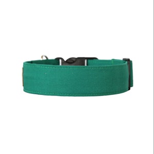 Green dog collar available in 15 sizes XS through XL