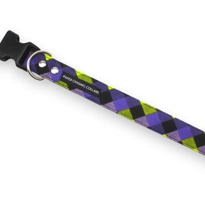 Pu&ograve; includere: Un collare per cani a quadri viola, nero e giallo con una fibbia in plastica nera e un anello a D argentato. Il collare ha la scritta "PAPER CHASING COLLARS" stampata.