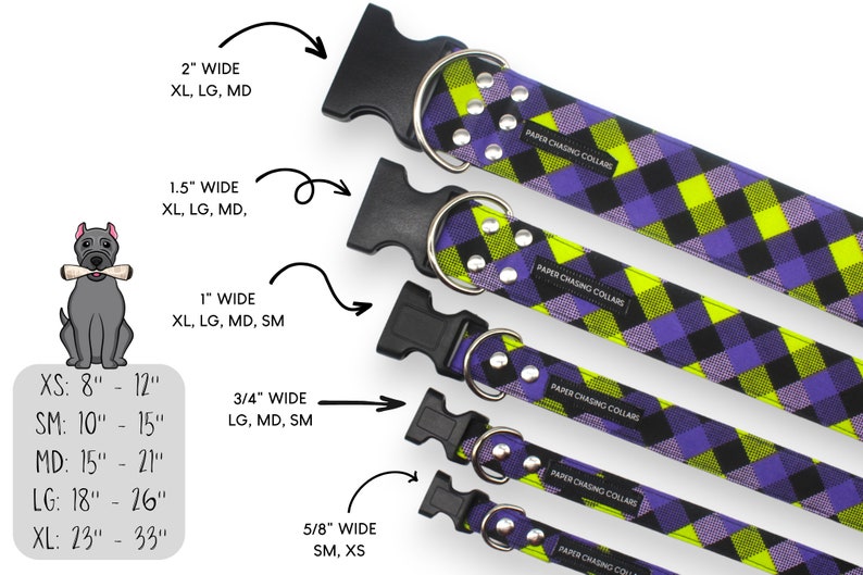 Pu&ograve; includere: Cinque collari per cani di diverse larghezze, che vanno da 1,6 cm a 5 cm. I collari sono realizzati in tessuto a quadri nero, viola e giallo con rivetti argentati e una fibbia in plastica nera. I collari sono etichettati con il nome del marchio "Paper Chasing Collars".