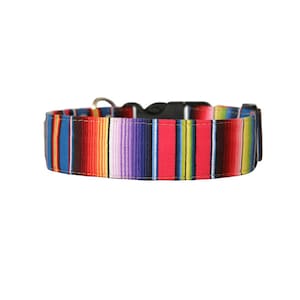 May include: A striped dog collar in a serape design. The collar has a black plastic buckle and a metal D-ring for a lead. The stripes are red, blue, yellow, and purple. The collar is approximately 2.5 cm wide.