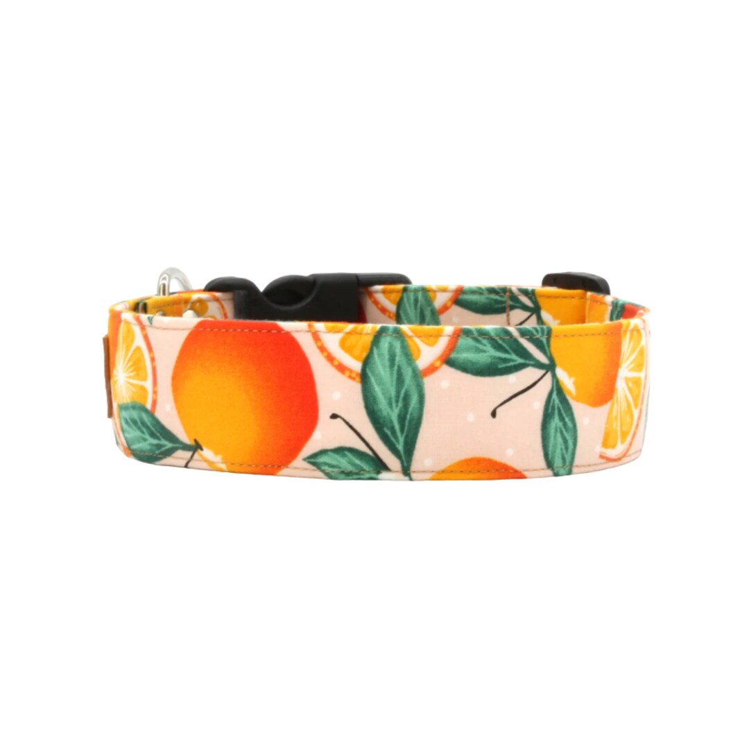 Orange Dog Collar Fruit Dog Collar Available in 15 Sizes XS Etsy