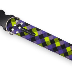 Pu&ograve; includere: Un collare per cani nero con un motivo a quadri viola, verde e nero. Il collare ha rivetti argentati e una fibbia nera. Il testo "PAPER CHASING COLLARS" &egrave; stampato sul collare.