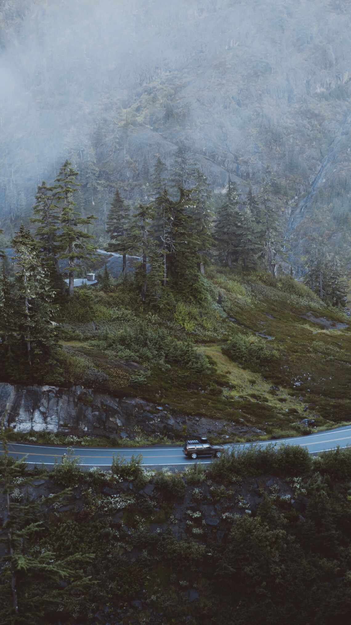 Pack of 5 PNW Ios 16 Wallpapers, Nature Aesthetic, Fall, Pacific ...