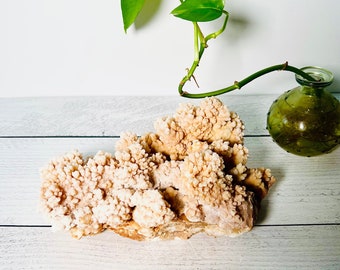 ENERGIE VERSTERKER & PURIFIER - Stalactiet Calciet Mineraal Specimen