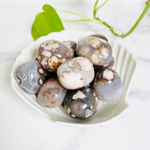 GROUNDING & GROWTH - Black Flower Agate Tumbled Stone