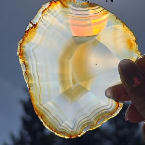 May include: A polished agate slice, displaying a range of colours including white, tan, and orange. The stone is held up to the light, showcasing its layered structure and natural patterns. The letter "N" is visible on the top right.