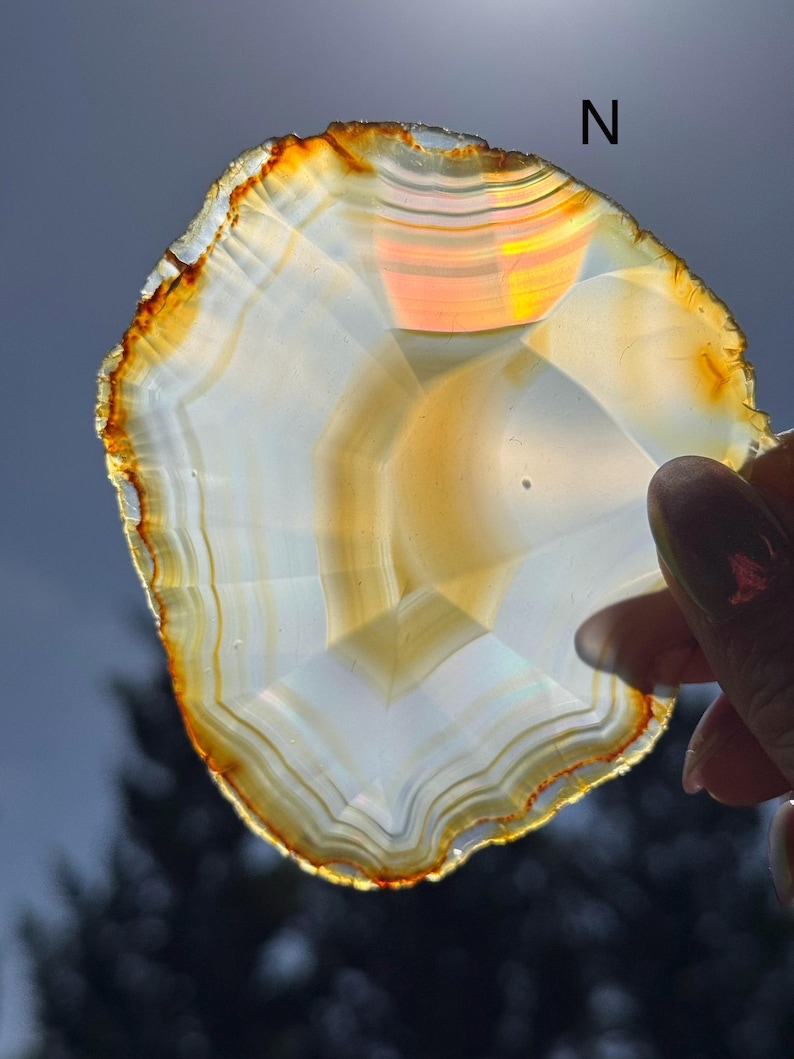 May include: A polished agate slice, displaying a range of colours including white, tan, and orange. The stone is held up to the light, showcasing its layered structure and natural patterns. The letter "N" is visible on the top right.