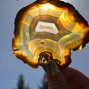 May include: A translucent agate slice, displaying concentric bands of brown, orange, and white. The stone has a central, geometric pattern and is held up to the sunlight, revealing its layered structure. The letter "P" is in the upper left corner.