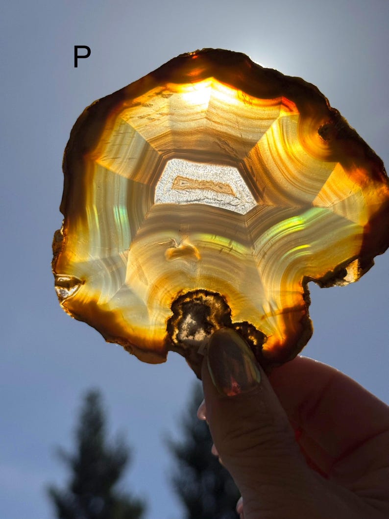 May include: A translucent agate slice, displaying concentric bands of brown, orange, and white. The stone has a central, geometric pattern and is held up to the sunlight, revealing its layered structure. The letter "P" is in the upper left corner.